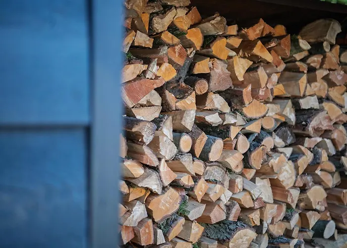 86, Bed & Outdoor Wellness - Sauna, Hottub, Icebath & Outdoor Shower Included! Alpesi faház Oisterwijk