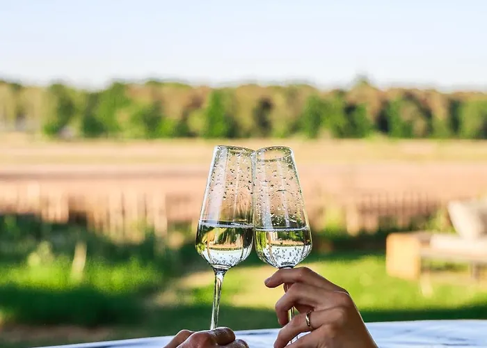 86, Bed & Outdoor Wellness - Sauna, Hottub, Icebath & Outdoor Shower Included! * Oisterwijk